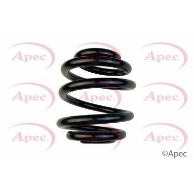 APEC Rear Coil Spring ACS1922