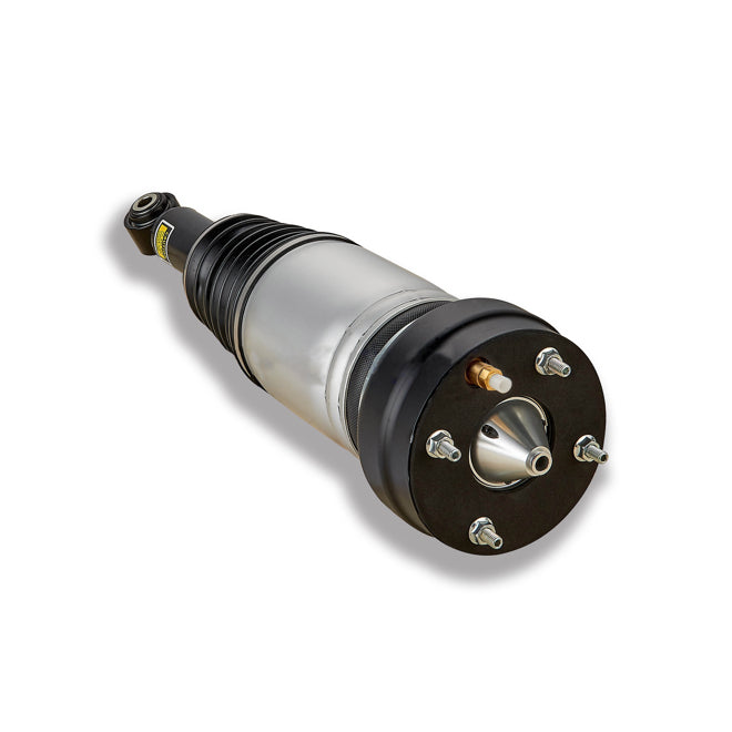 APEC Air Strut AAS1066