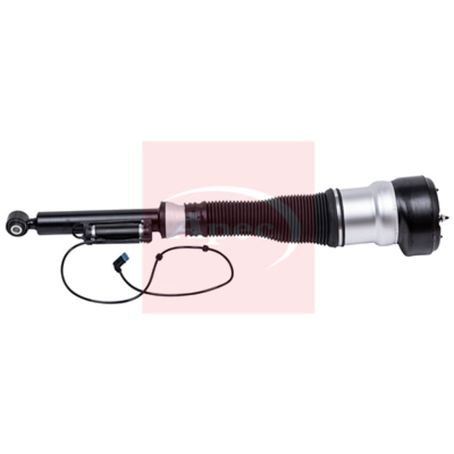 APEC Air Strut RR RH AAS1102