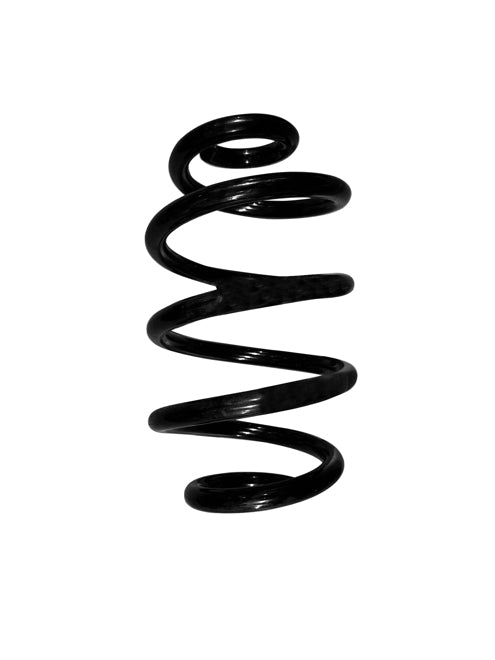 APEC Rear Coil Spring ACS2038