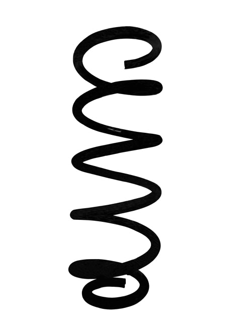 APEC Rear Coil Spring ACS2055