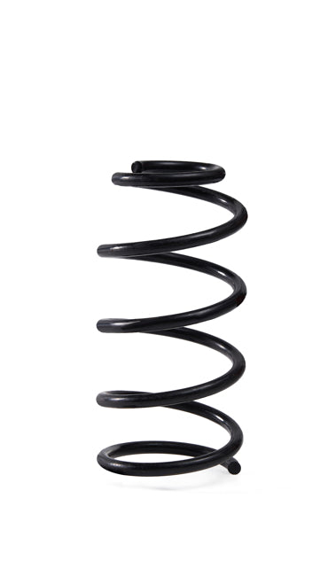APEC Rear Coil Spring ACS2063