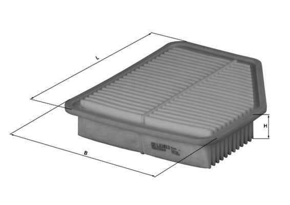 Mahle Air Filter LX1613