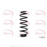 APEC Rear Coil Spring ACS1119
