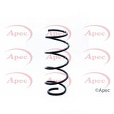 APEC Front Coil Spring ACS1304