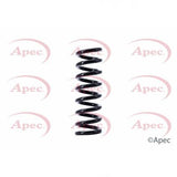 APEC Rear Coil Spring ACS1395