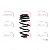 APEC Rear Coil Spring ACS1662