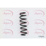 APEC Rear Coil Spring ACS1640