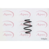 APEC Rear Coil Spring ACS1568