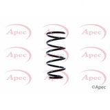 APEC Rear Coil Spring ACS1407