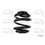 APEC Rear Coil Spring ACS1922