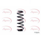 APEC Rear Coil Spring ACS1391