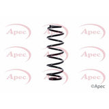 APEC Rear Coil Spring ACS1381