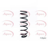 APEC Rear Coil Spring ACS1253