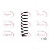 APEC Rear Coil Spring ACS1354