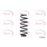 APEC Rear Coil Spring ACS1423
