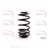 APEC Rear Coil Spring ACS1038