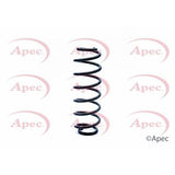 APEC Rear Coil Spring ACS1251