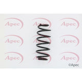 APEC Rear Coil Spring ACS1631