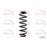 APEC Rear Coil Spring ACS1489