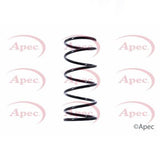APEC Front Coil Spring ACS1394
