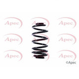 APEC Rear Coil Spring ACS1418