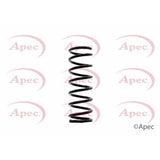 APEC Rear Coil Spring ACS1349