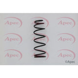APEC Rear Coil Spring ACS1634