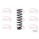 APEC Rear Coil Spring ACS1396