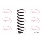 APEC Rear Coil Spring ACS1374