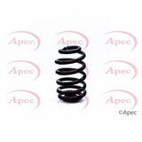 APEC Rear Coil Spring ACS1316