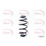 APEC Rear Coil Spring ACS1261