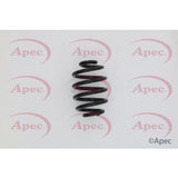 APEC Rear Coil Spring ACS1613