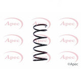 APEC Rear Coil Spring ACS1400