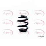APEC Rear Coil Spring ACS1290