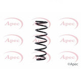 APEC Rear Coil Spring ACS1379