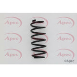 APEC Rear Coil Spring ACS1639