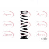 APEC Rear Coil Spring ACS1485