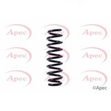 APEC Rear Coil Spring ACS1393