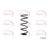 APEC Rear Coil Spring ACS1357