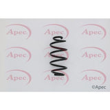 APEC Rear Coil Spring ACS1593