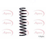 APEC Rear Coil Spring ACS1404