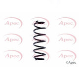 APEC Rear Coil Spring ACS1399