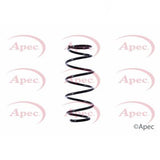 APEC Front Coil Spring ACS1427