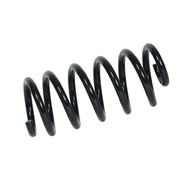 APEC Rear Coil Spring ACS2025