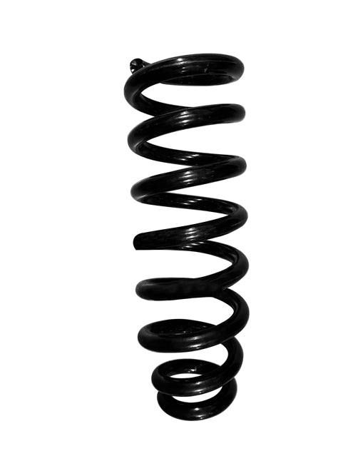 APEC Rear Coil Spring ACS2041