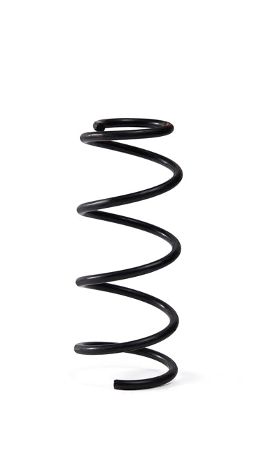 APEC Rear Coil Spring ACS2069