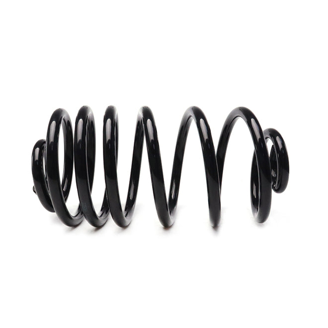 APEC Rear Coil Spring ACS2073