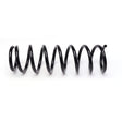 APEC Rear Coil Spring ACS2158