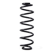 APEC Rear Coil Spring ACS2161